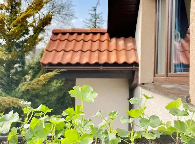 Sulekova 52a * Pressburg